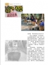 刘振炎《新会风•陈皮韵》摄影作品欣赏(40)_在线影展的作品